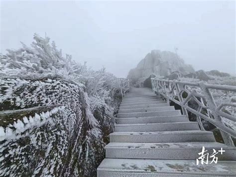 广州下雪|真的实现了！广东下雪了！